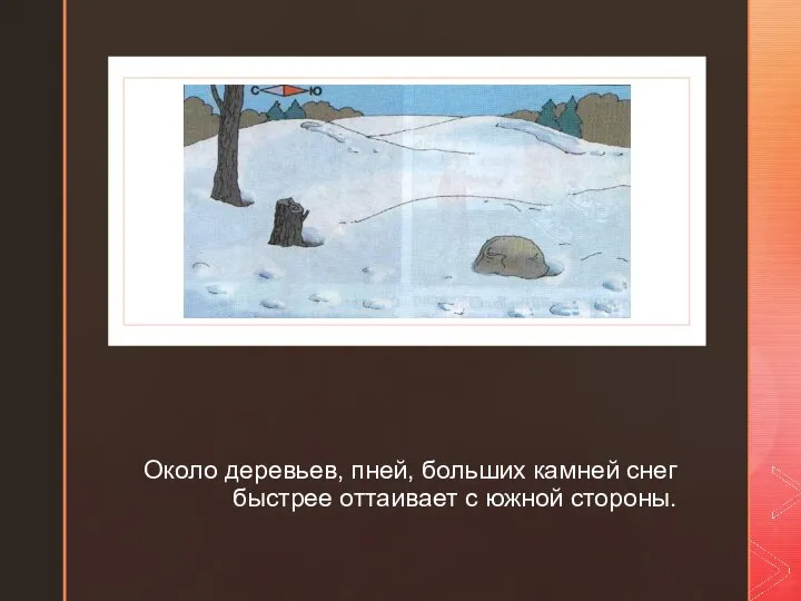 ◤ Около деревьев, пней, больших камней снег быстрее оттаивает с южной стороны.