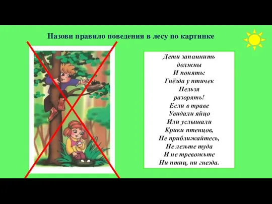 Назови правило поведения в лесу по картинке Дети запомнить должны И