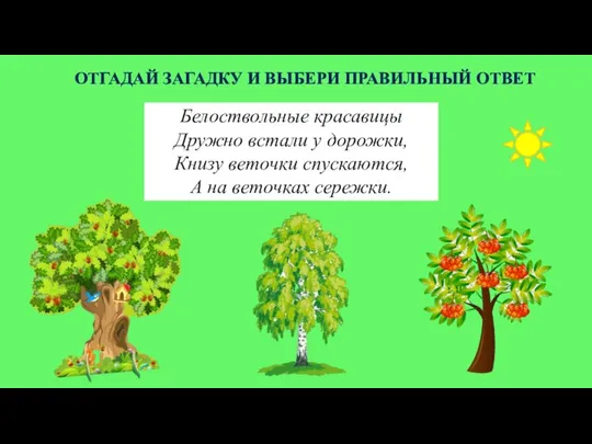 ОТГАДАЙ ЗАГАДКУ И ВЫБЕРИ ПРАВИЛЬНЫЙ ОТВЕТ Белоствольные красавицы Дружно встали у