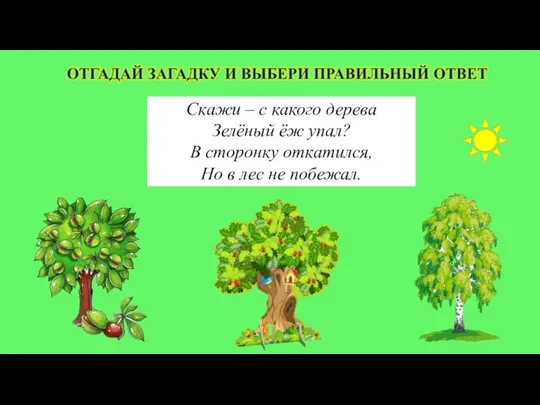 Скажи – с какого дерева Зелёный ёж упал? В сторонку откатился, Но в лес не побежал.