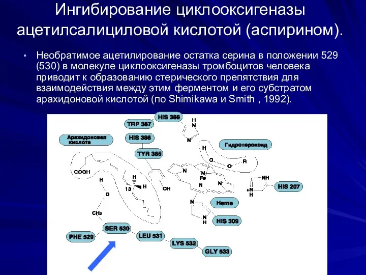 Ингибирование циклооксигеназы ацетилсалициловой кислотой (аспирином). Необратимое ацетилирование остатка серина в положении