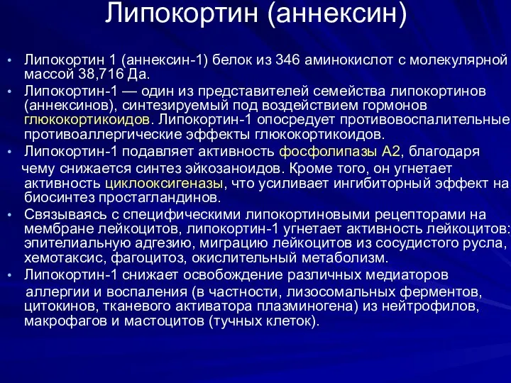 Липокортин (аннексин) Липокортин 1 (аннексин-1) белок из 346 аминокислот с молекулярной