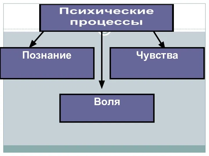 Чувства Воля Познание