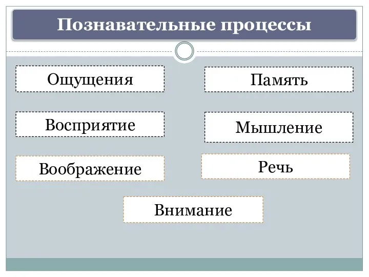 Внимание Ощущения Восприятие Память Мышление Речь Воображение