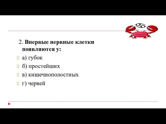 2. Впервые нервные клетки появляются у: а) губок б) простейших в) кишечнополостных г) червей