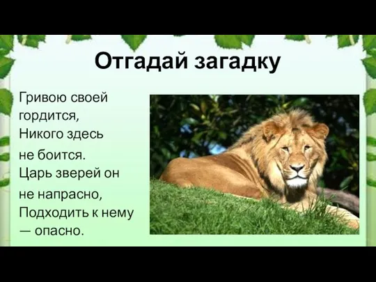 Отгадай загадку Гривою своей гордится, Никого здесь не боится. Царь зверей