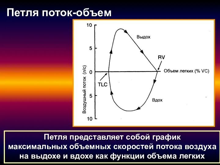 Петля поток-объем Петля представляет собой график максимальных объемных скоростей потока воздуха