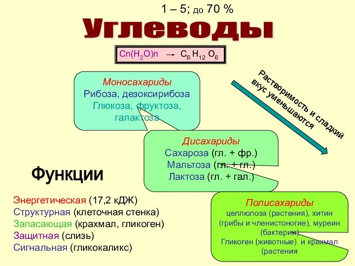 Углеводы Cn(H2O)n C6 H12 O6 1 – 5; до 70 %