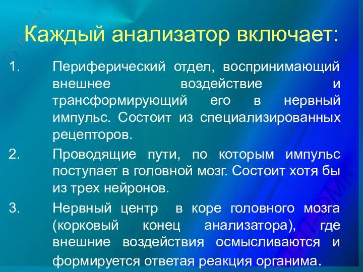 Каждый анализатор включает: Периферический отдел, воспринимающий внешнее воздействие и трансформирующий его