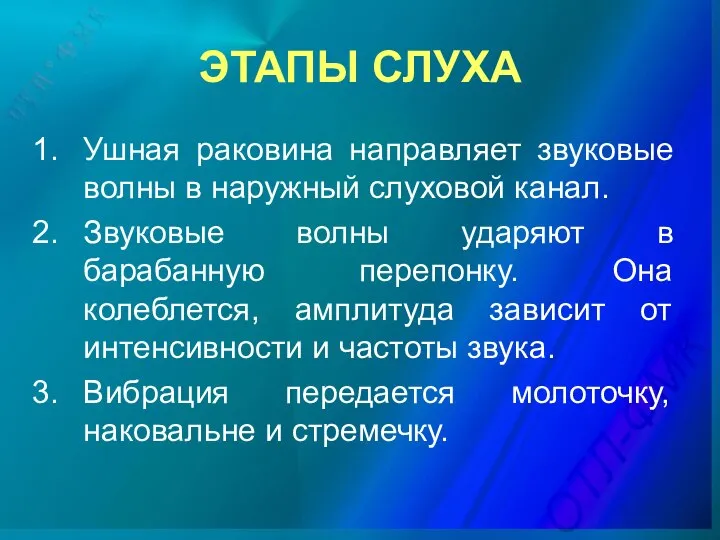 ЭТАПЫ СЛУХА Ушная раковина направляет звуковые волны в наружный слуховой канал.