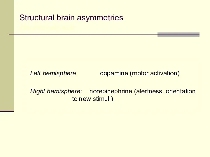 Left hemisphere: dopamine (motor activation) Right hemisphere: norepinephrine (alertness, orientation to