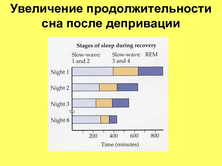 Увеличение продолжительности сна после депривации