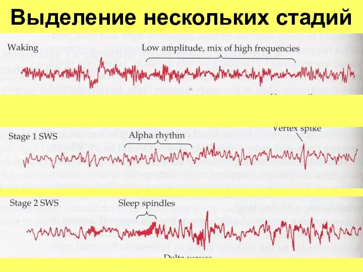 Выделение нескольких стадий