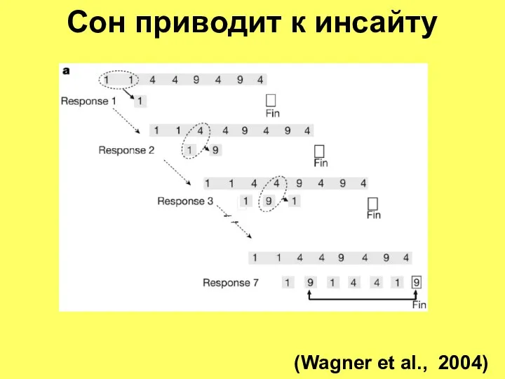 Сон приводит к инсайту (Wagner et al., 2004)