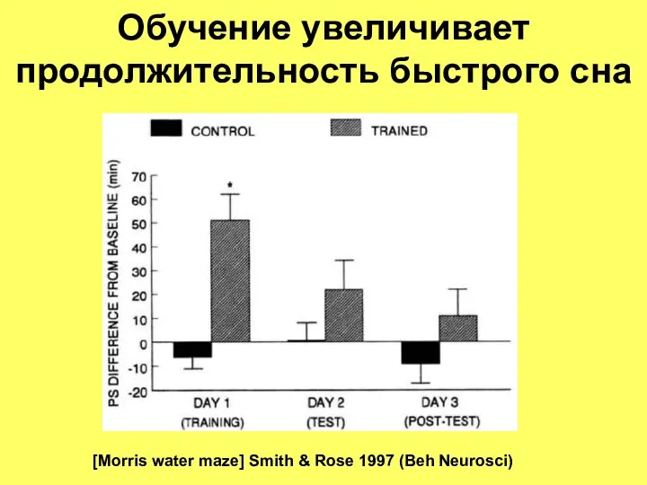 Обучение увеличивает продолжительность быстрого сна [Morris water maze] Smith & Rose 1997 (Beh Neurosci)