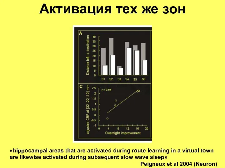 Активация тех же зон «hippocampal areas that are activated during route