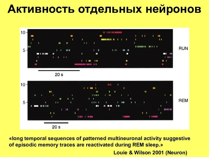 «long temporal sequences of patterned multineuronal activity suggestive of episodic memory