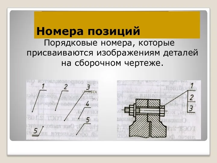 Номера позиций Порядковые номера, которые присваиваются изображениям деталей на сборочном чертеже.