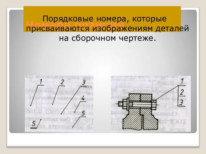 Номера позиций Порядковые номера, которые присваиваются изображениям деталей на сборочном чертеже.