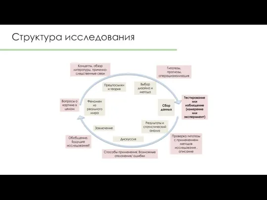 Структура исследования