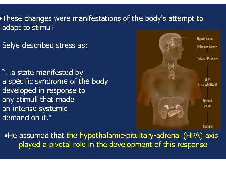 These changes were manifestations of the body's attempt to adapt to