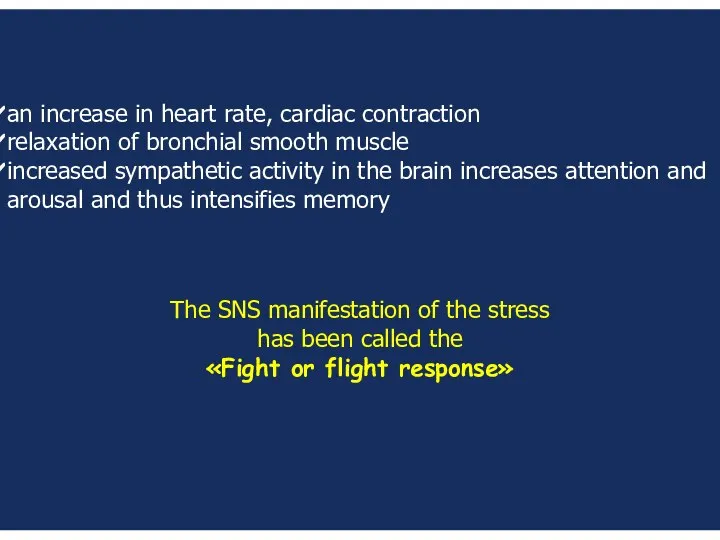 an increase in heart rate, cardiac contraction relaxation of bronchial smooth