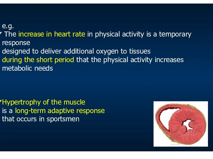 e.g. The increase in heart rate in physical activity is a