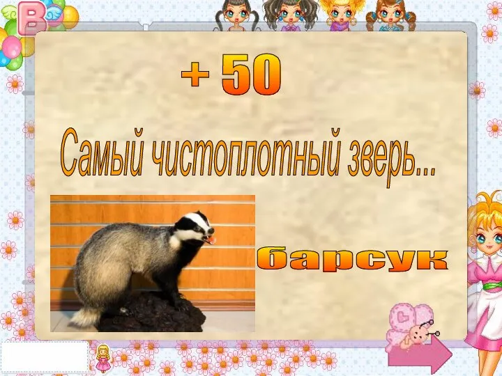 + 50 Самый чистоплотный зверь... барсук