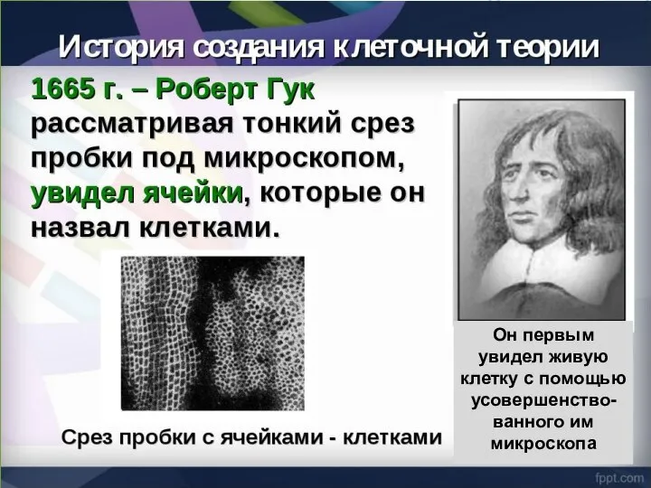 Он первым увидел живую клетку с помощью усовершенство- ванного им микроскопа