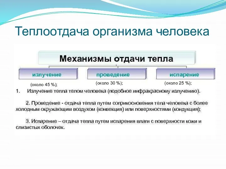 Теплоотдача организма человека (около 45 %); (около 30 %); (около 25 %);