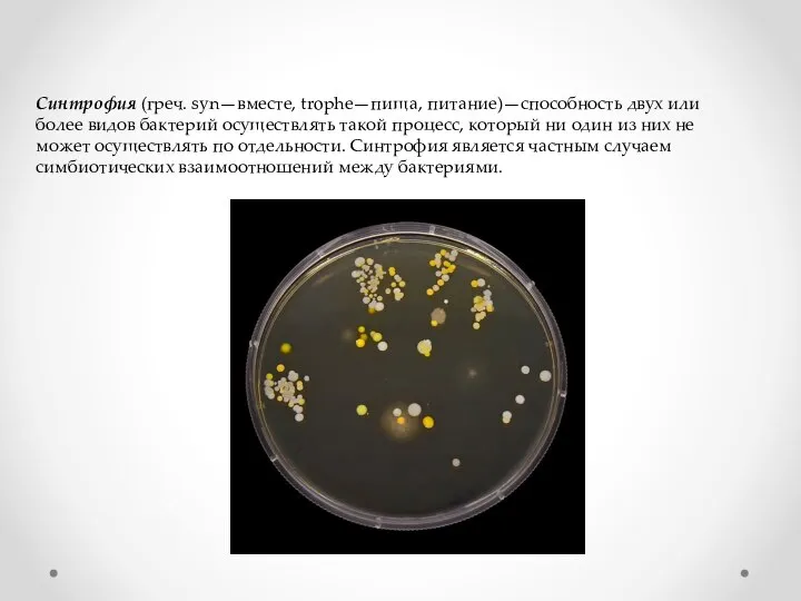 Синтрофия (греч. syn—вместе, trophe—пища, питание)—способность двух или более видов бактерий осуществлять