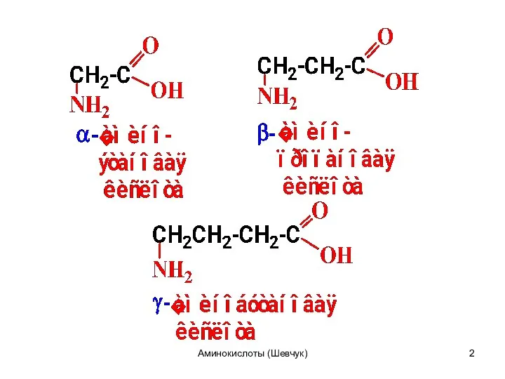 Аминокислоты (Шевчук)