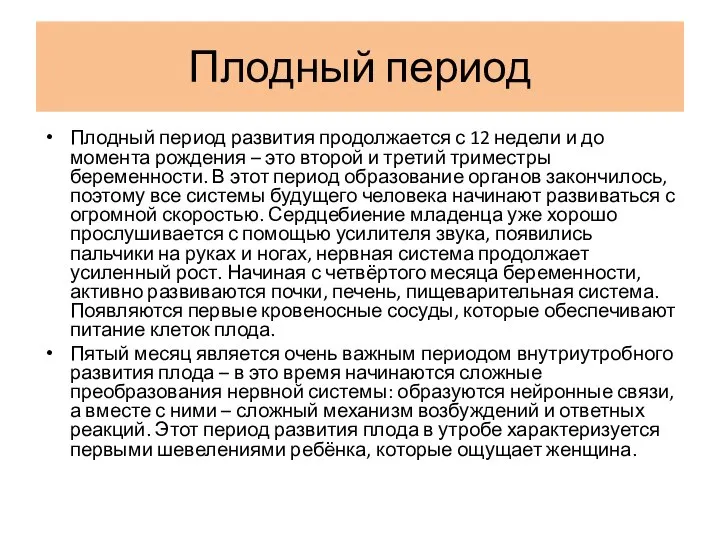 Плодный период Плодный период развития продолжается с 12 недели и до