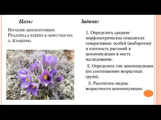 Задачи: 1. Определить средние морфометрические показатели генеративных особей (выборочно) и плотность