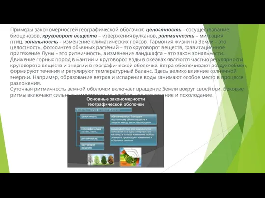 Примеры закономерностей географической оболочки: целостность – сосуществование биоценозов, круговорот веществ –