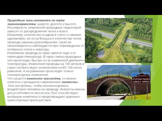 Природные зоны меняются по трём закономерностям: широте, долготе и высоте. Регулярность