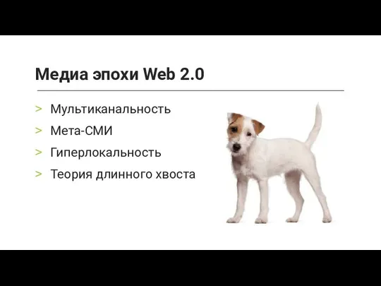 Мультиканальность Мета-СМИ Гиперлокальность Теория длинного хвоста Медиа эпохи Web 2.0