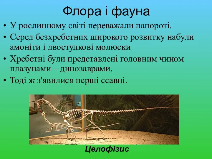 Флора і фауна У рослинному світі переважали папороті. Серед безхребетних широкого