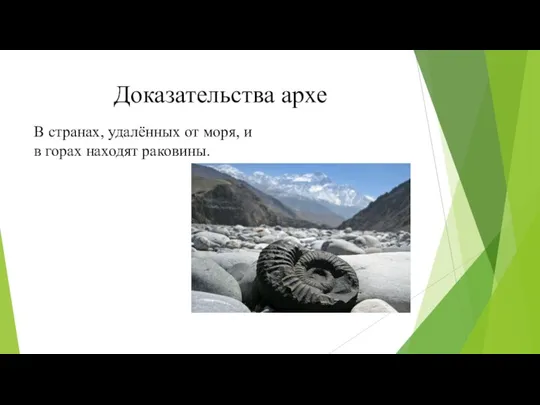 Доказательства архе В странах, удалённых от моря, и в горах находят раковины.