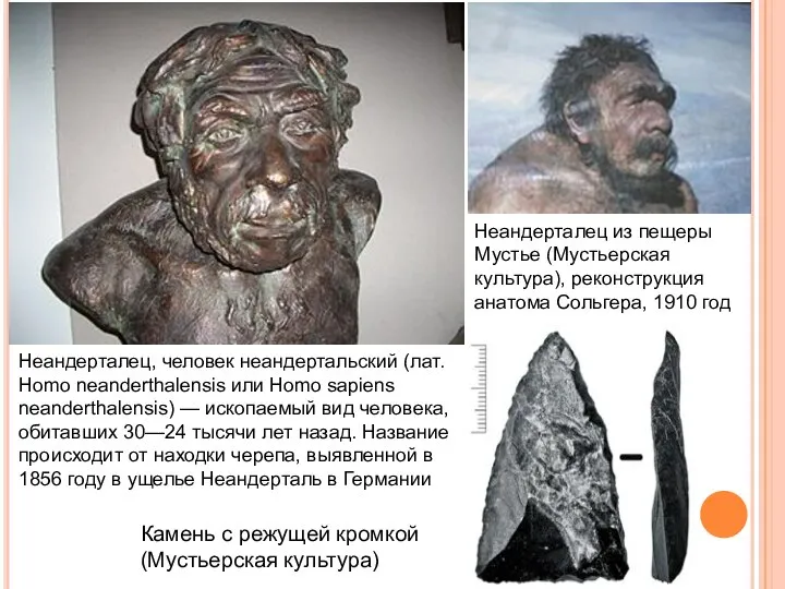 Неандерталец, человек неандертальский (лат. Homo neanderthalensis или Homo sapiens neanderthalensis) —