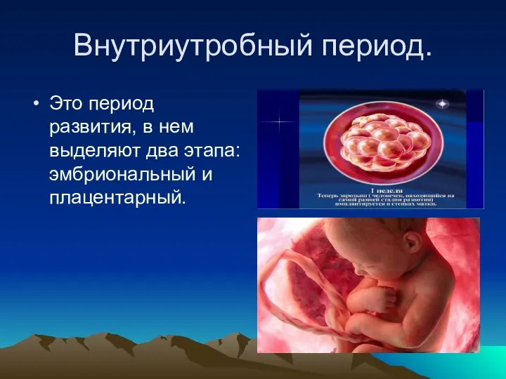 Внутриутробный период. Это период развития, в нем выделяют два этапа: эмбриональный и плацентарный.