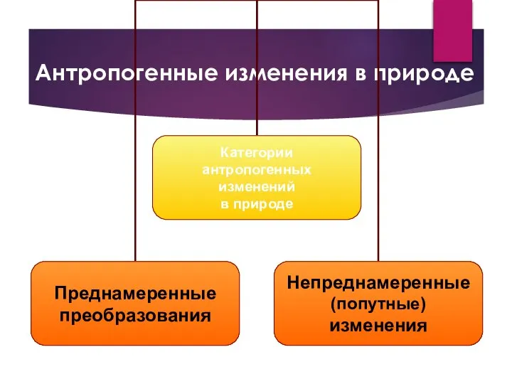 Антропогенные изменения в природе