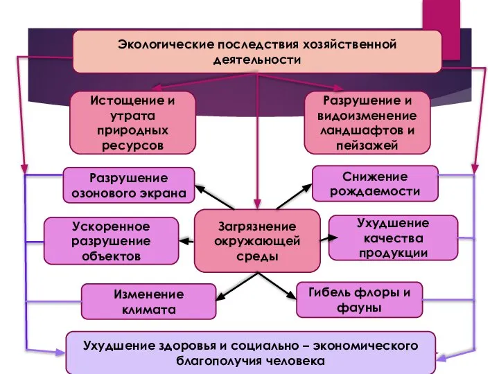 Экологические последствия хозяйственной деятельности Истощение и утрата природных ресурсов Загрязнение окружающей