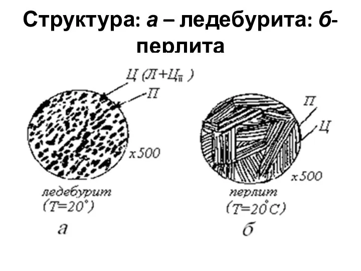 Структура: а – ледебурита: б- перлита