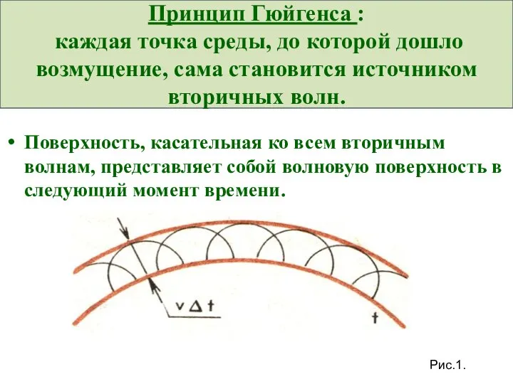 Принцип Гюйгенса : каждая точка среды, до которой дошло возмущение, сама