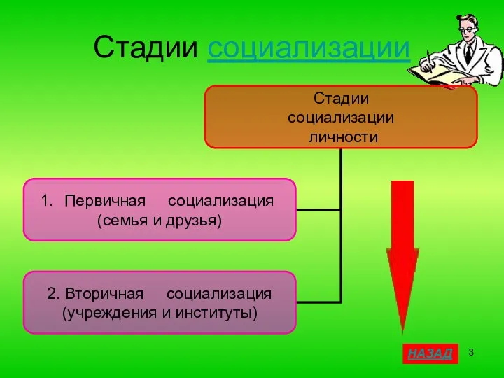 Стадии социализации НАЗАД