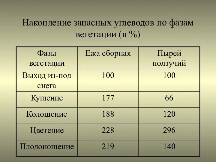 Накопление запасных углеводов по фазам вегетации (в %)