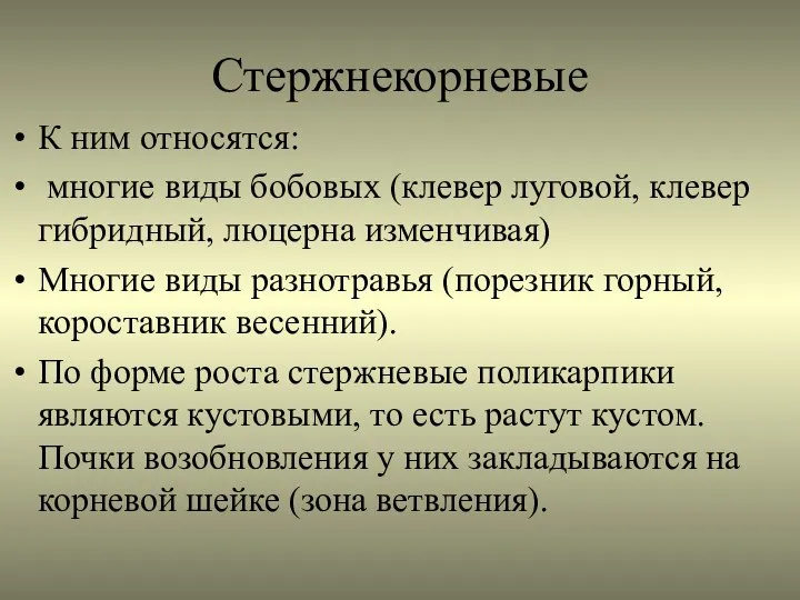 Стержнекорневые К ним относятся: многие виды бобовых (клевер луговой, клевер гибридный,