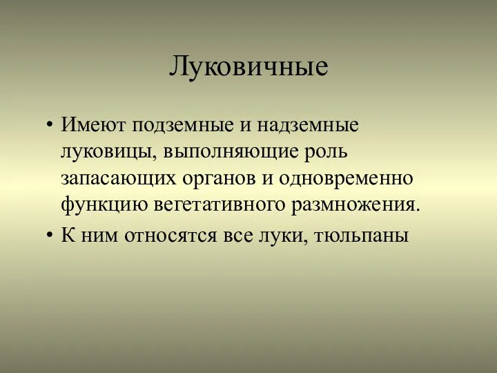 Луковичные Имеют подземные и надземные луковицы, выполняющие роль запасающих органов и