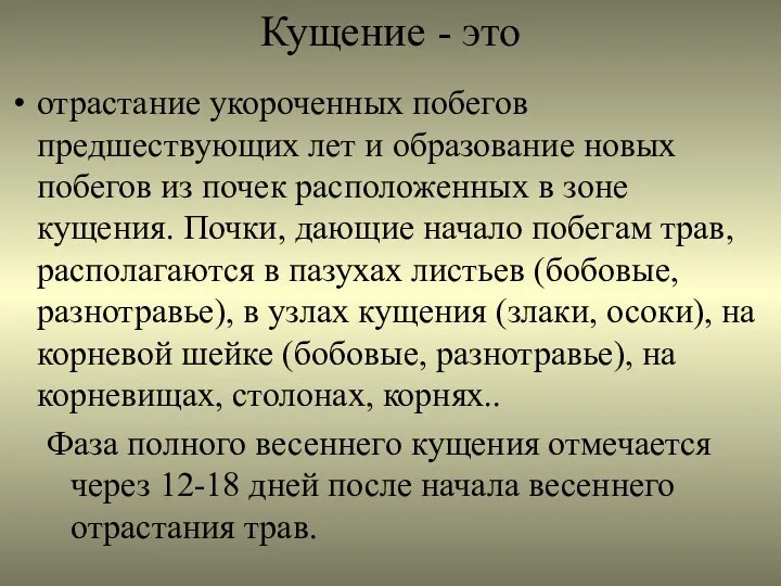 Кущение - это отрастание укороченных побегов предшествующих лет и образование новых